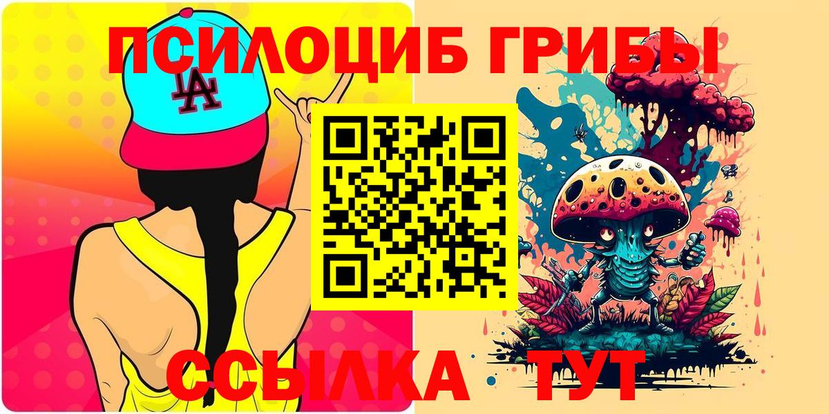 Галлюциногенные грибы Psilocybe Торжок